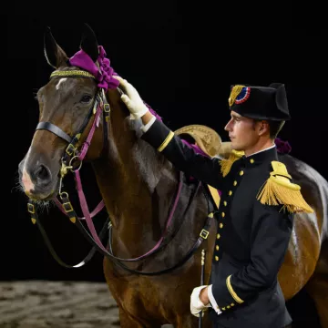 B. Lemaire - Cadre Noir IFCE