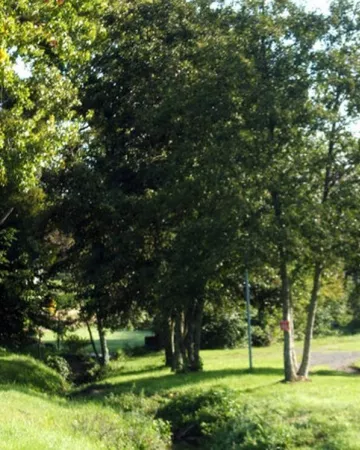 mairie.marignelaille