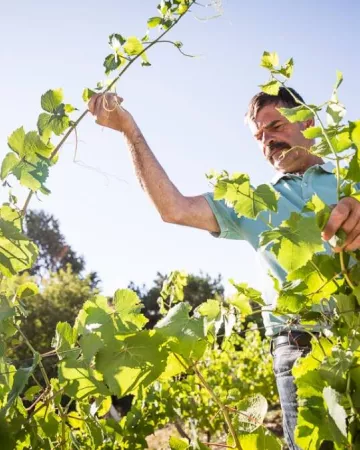 Domaine Landron Chartier