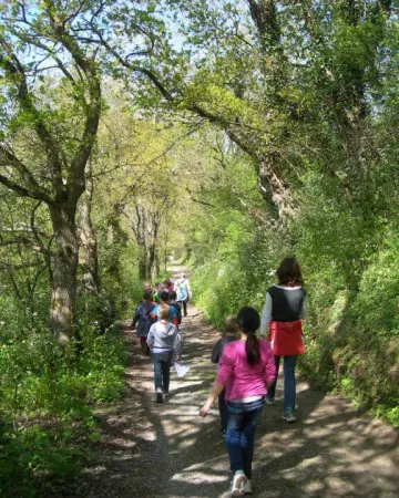 ©Château de la Turmelière