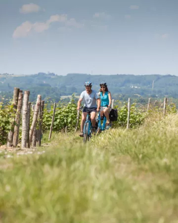Vallée du Loir - JP Berlose