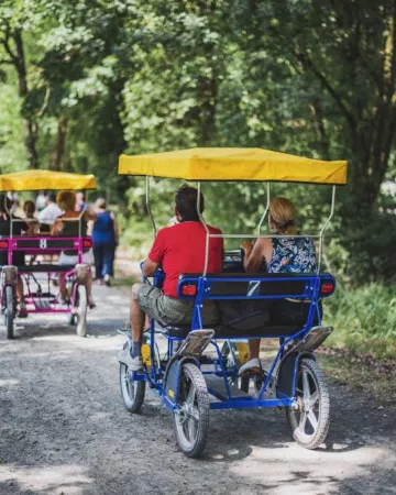 © OT4PS - Destination Coco