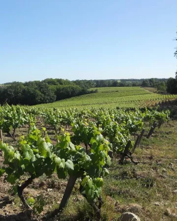 © Domaine Bouffard