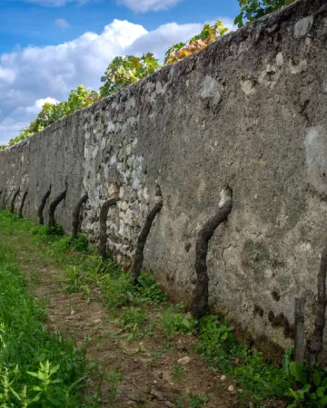 @Christophe-Gagneux-Pixim-Communication