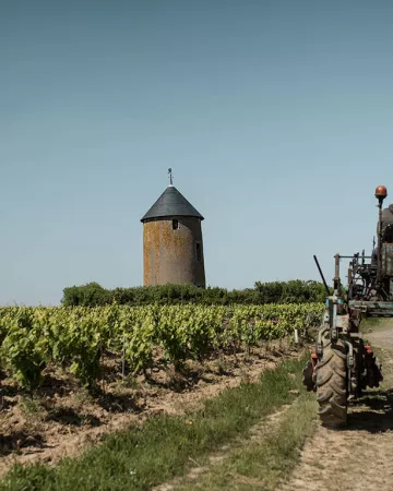 Domaine Ménard-Gaborit 