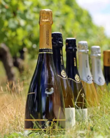 Domaine de la Gonorderie 