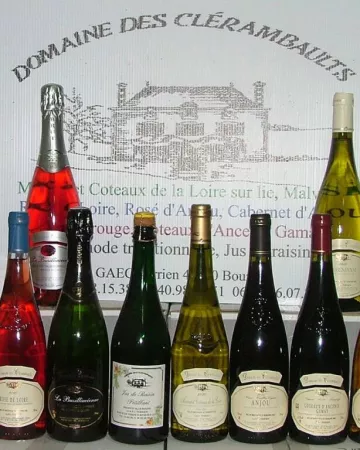 © Domaine les Clérambaults
