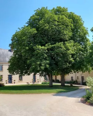 Tamboise-Grandsard-Deffois