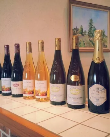 DOMAINE DE LA GABETTERIE