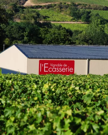 Vignoble de l'Ecasserie