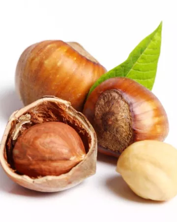 © Yeko Photo Studio