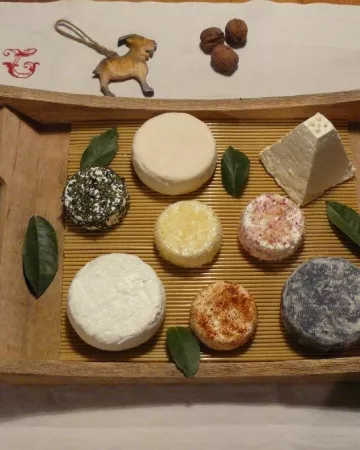 copyright chèvre du vrizon