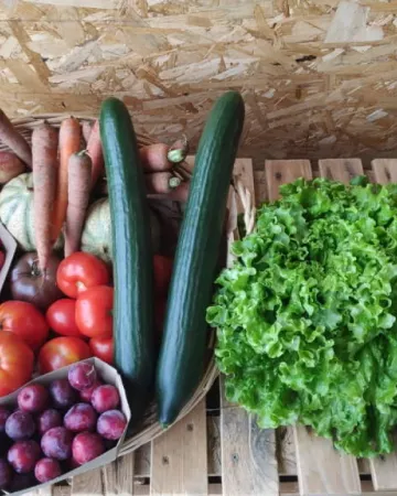 ©Jard'ins de Saint-Vincent