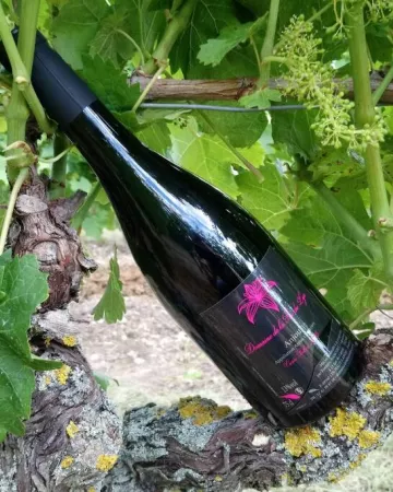 Domaine de la Fée du Lys