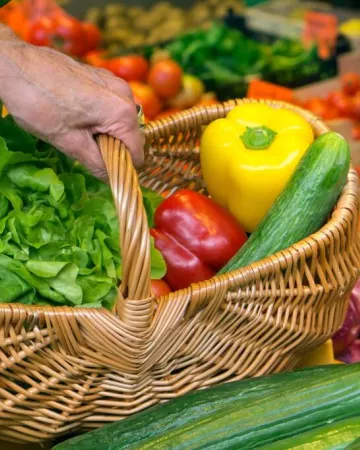 OT entre Brière et Canal