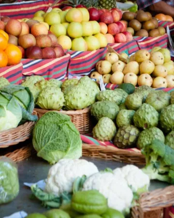 Martha Dominguez de Gouveia / Unsplash