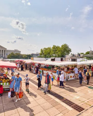 Alexandre Lamoureux - Destination Angers