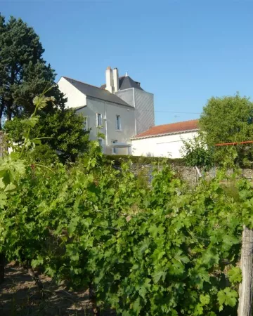 © Gîte tout lui faut 