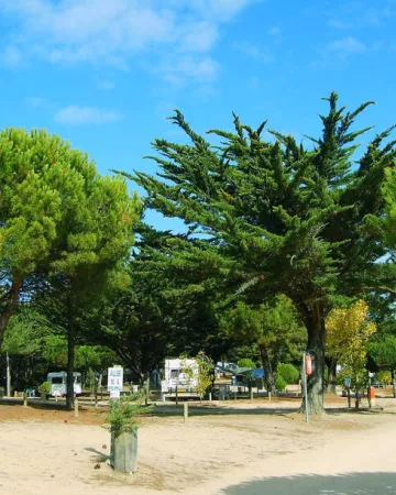 camping municipal l'orgatte notre dame de monts vendee