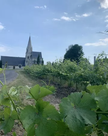 Aude Genevaise - SPL SVLT