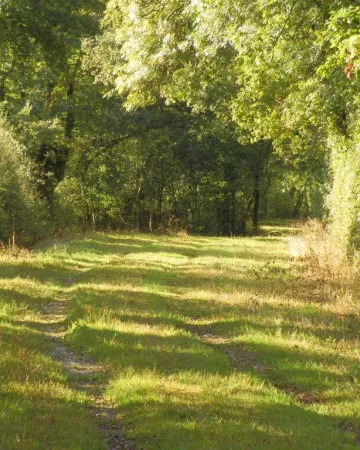 ©Mairie Les Touches