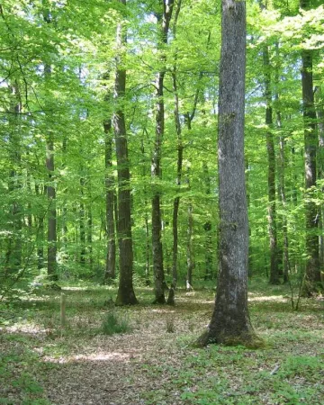 ©Office-de-Tourisme-du-Pays-de-Blain