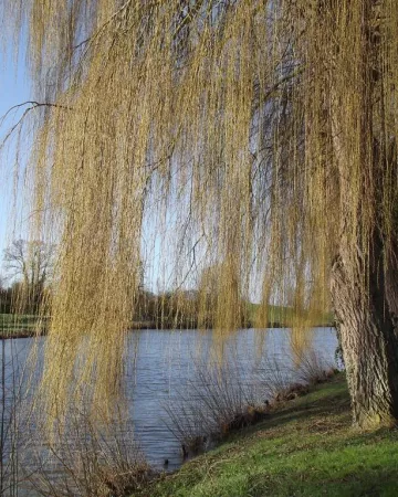 ©Office de Tourisme de l'Anjou bleu
