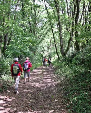 Yves POSTEC (CDRandonnée 49)