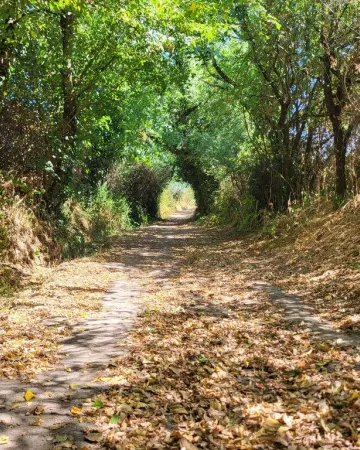 ©Commune de Sèvremoine