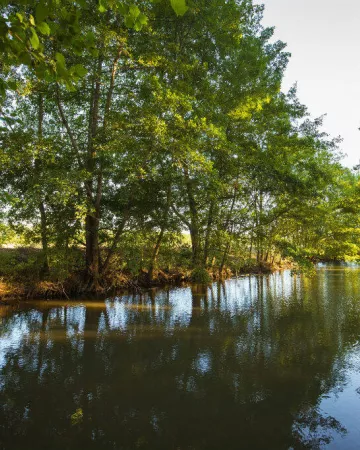 L'ours en plus pour CCSVL