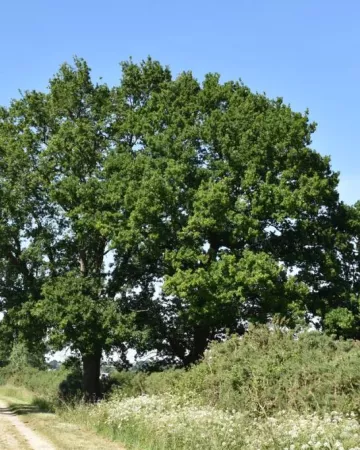 Saint-Nazaire Agglomération Tourisme / Matthias Arteaga