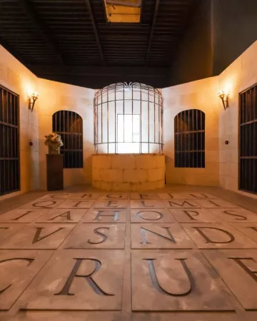 Theo Narcisse Agency