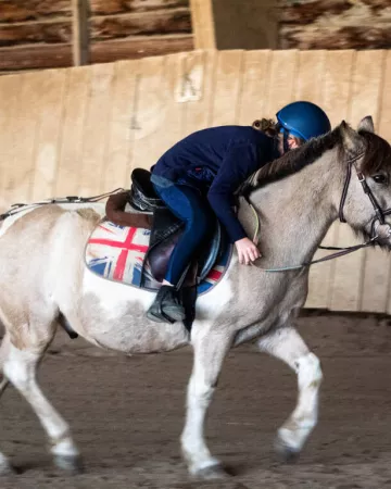 ©Ecuries de la Provostière