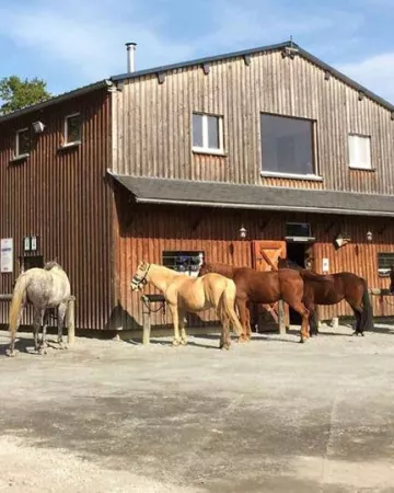 Crinières aux Vents