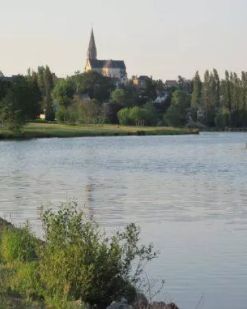 (c) Teillé animation