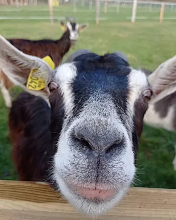 © Il était une ferme