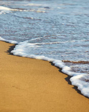 Pays de Saint Gilles Croix de Vie