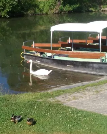 copyright commune de Maillé