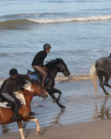 OT Pays de Saint Jean de Monts