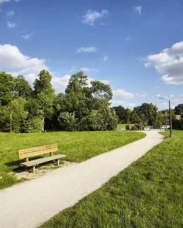 © Alexandre Lamoureux