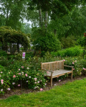 C. Poulin - Les Chemins de la Rose