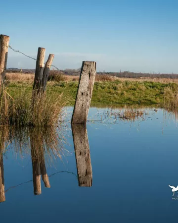 ©Jean-Marc-Rabiller