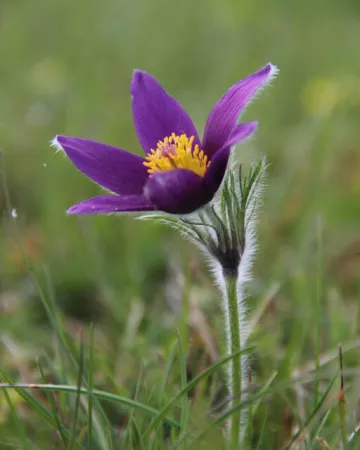 Eric Lantuejoul-CEN Pays de la Loire