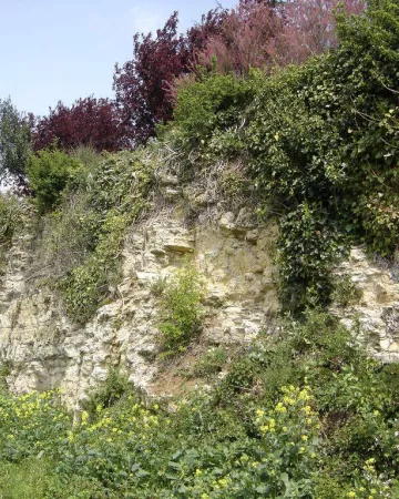 ©officedetourisme-Chaillélesmarais