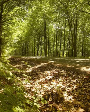 A. Lamoureux - Vendée Expansion