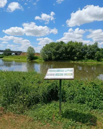 Sophie / Commune de Briollay