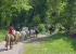 Centre équestre SAEL la Forêt