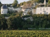 Besuchen Sie die Weinberge des Anjou-Saumur und entdecken Sie deren Kulturerbe!