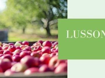 © Lusson-Fruits