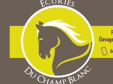 Ecuries/élevage du Champ Blanc